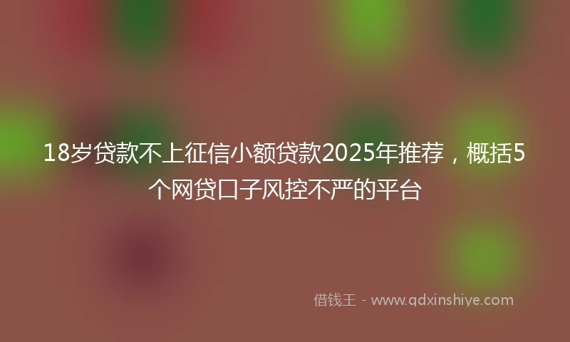 18岁贷款不上征信小额贷款2025年推荐，概括5个网贷口子风控不严的平台