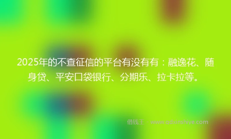 2025年的不查征信的平台有没有有：融逸花、随身贷、平安口袋银行、分期乐、拉卡拉等。