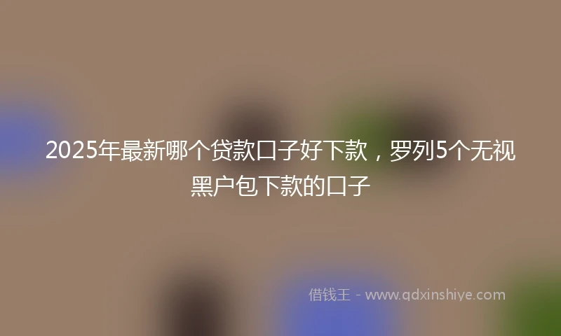 2025年最新哪个贷款口子好下款，罗列5个无视黑户包下款的口子