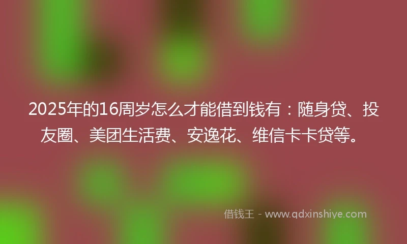 2025年的16周岁怎么才能借到钱有：随身贷、投友圈、美团生活费、安逸花、维信卡卡贷等。