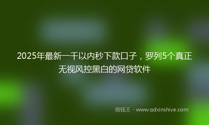 2025年最新一千以内秒下款口子，罗列5个真正无视风控黑白的网贷软件