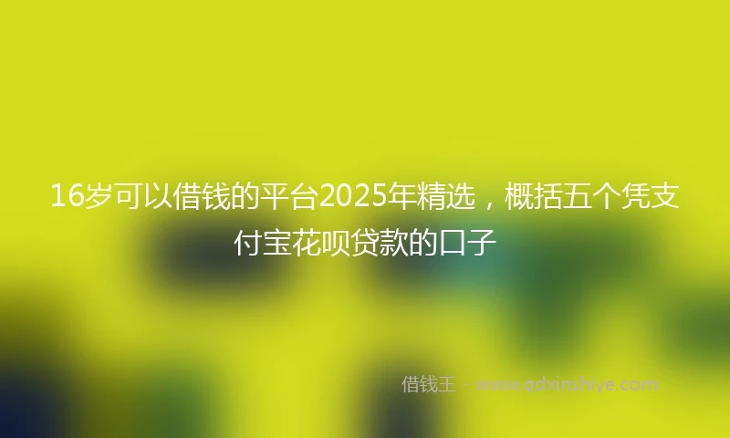 16岁可以借钱的平台2025年精选，概括五个凭支付宝花呗贷款的口子