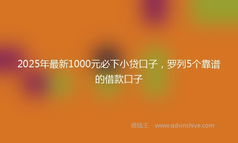 2025年最新1000元必下小贷口子，罗列5个靠谱的借款口子