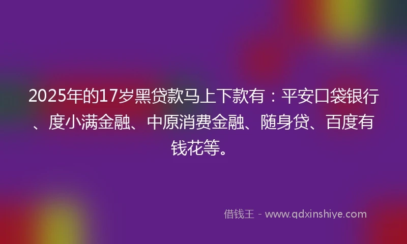 2025年的17岁黑贷款马上下款有：平安口袋银行、度小满金融、中原消费金融、随身贷、百度有钱花等。