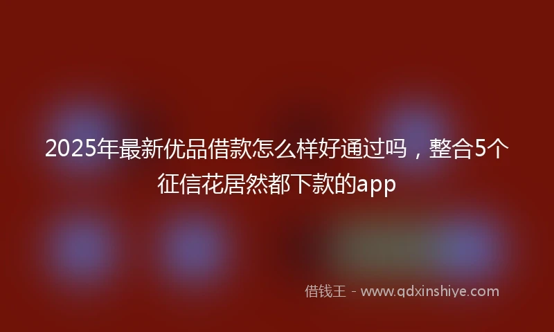 2025年最新优品借款怎么样好通过吗，整合5个征信花居然都下款的app