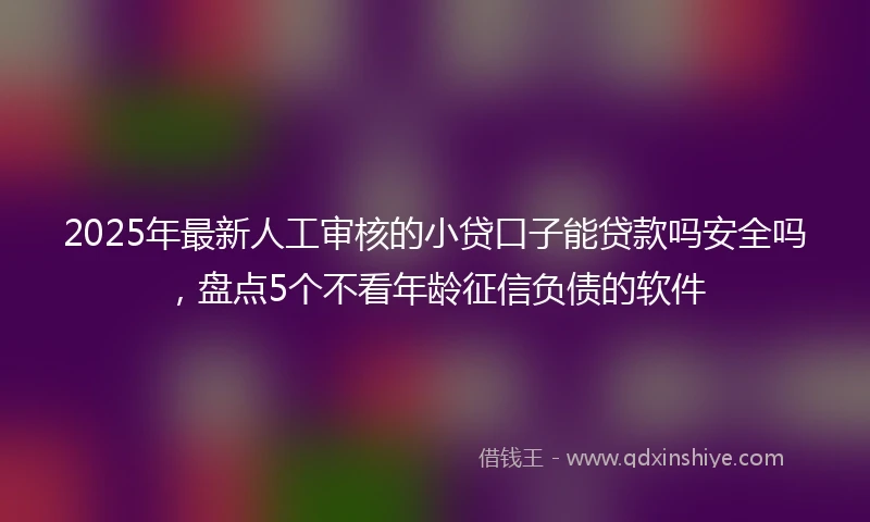 2025年最新人工审核的小贷口子能贷款吗安全吗，盘点5个不看年龄征信负债的软件