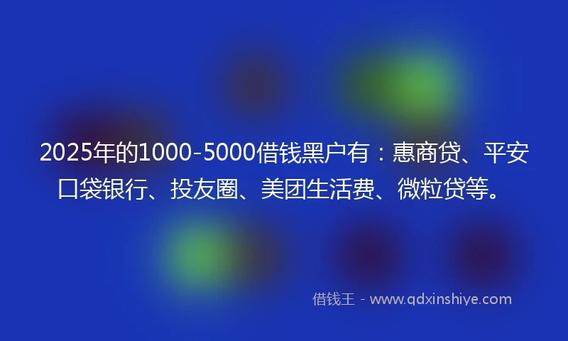 2025年的1000-5000借钱黑户有：惠商贷、平安口袋银行、投友圈、美团生活费、微粒贷等。