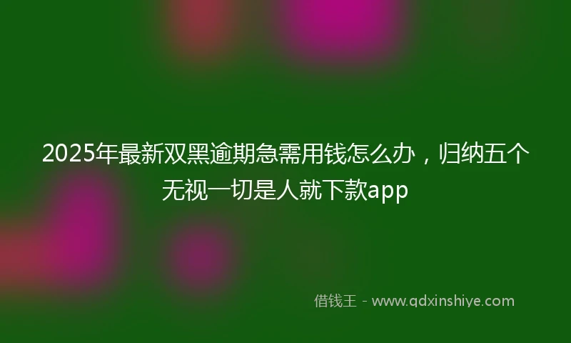 2025年最新双黑逾期急需用钱怎么办，归纳五个无视一切是人就下款app
