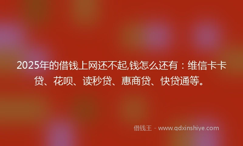 2025年的借钱上网还不起,钱怎么还有：维信卡卡贷、花呗、读秒贷、惠商贷、快贷通等。