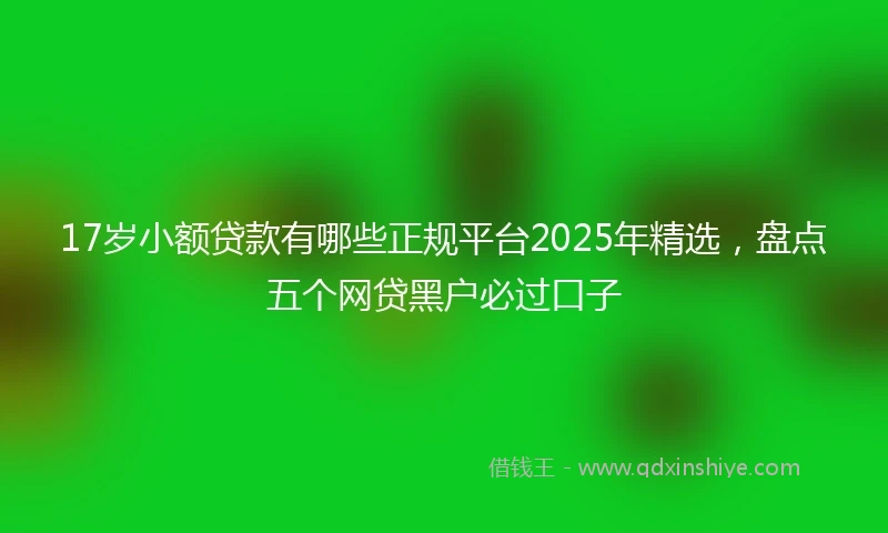 17岁小额贷款有哪些正规平台2025年精选，盘点五个网贷黑户必过口子