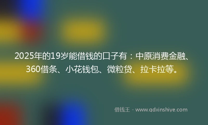 2025年的19岁能借钱的口子有：中原消费金融、360借条、小花钱包、微粒贷、拉卡拉等。