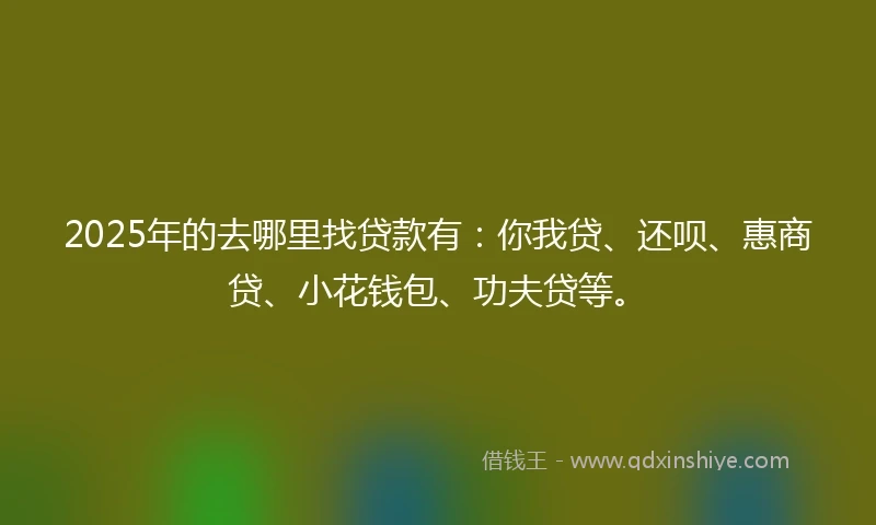 2025年的去哪里找贷款有：你我贷、还呗、惠商贷、小花钱包、功夫贷等。