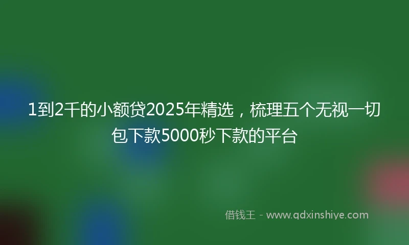 1到2千的小额贷2025年精选，梳理五个无视一切包下款5000秒下款的平台