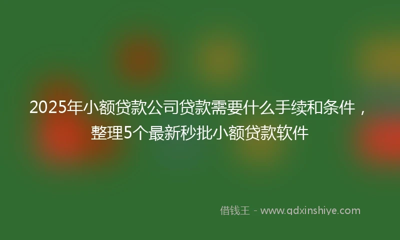 2025年小额贷款公司贷款需要什么手续和条件，整理5个最新秒批小额贷款软件