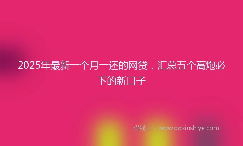 2025年最新一个月一还的网贷，汇总五个高炮必下的新口子