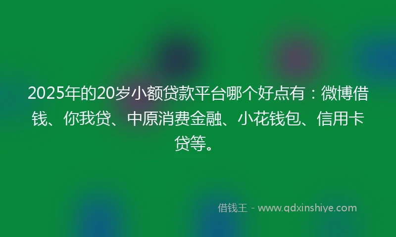 2025年的20岁小额贷款平台哪个好点有：微博借钱、你我贷、中原消费金融、小花钱包、信用卡贷等。