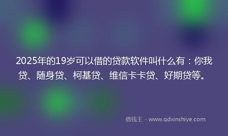 2025年的19岁可以借的贷款软件叫什么有：你我贷、随身贷、柯基贷、维信卡卡贷、好期贷等。