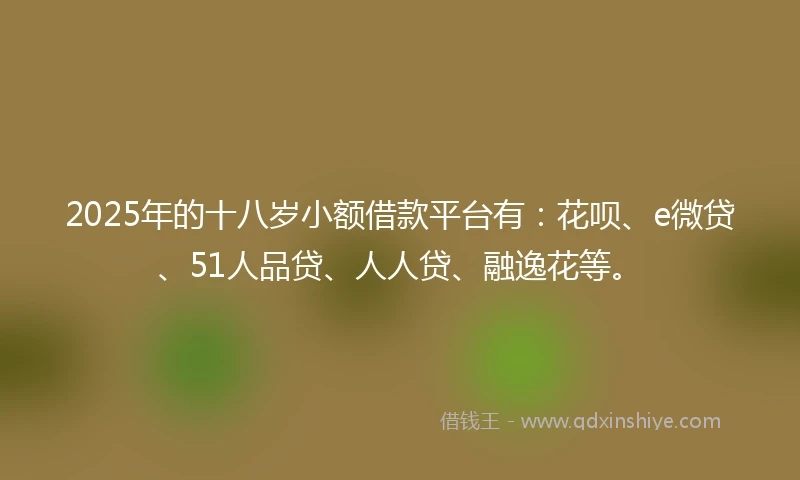 2025年的十八岁小额借款平台有：花呗、e微贷、51人品贷、人人贷、融逸花等。