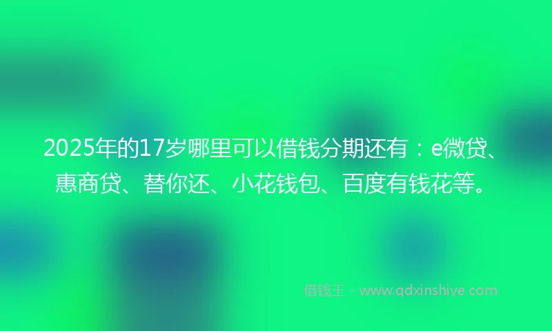 2025年的17岁哪里可以借钱分期还有：e微贷、惠商贷、替你还、小花钱包、百度有钱花等。
