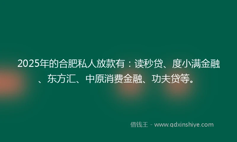 2025年的合肥私人放款有：读秒贷、度小满金融、东方汇、中原消费金融、功夫贷等。