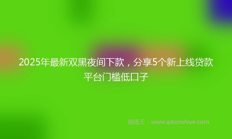 2025年最新双黑夜间下款，分享5个新上线贷款平台门槛低口子