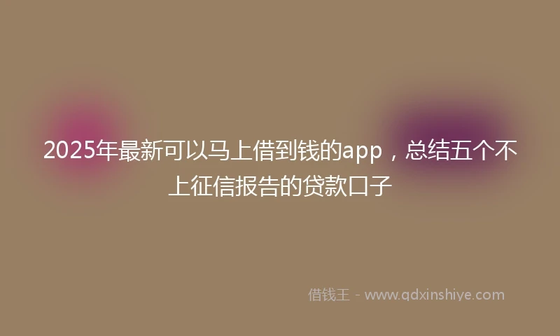 2025年最新可以马上借到钱的app，总结五个不上征信报告的贷款口子