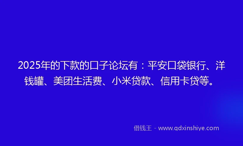 2025年的下款的口子论坛有：平安口袋银行、洋钱罐、美团生活费、小米贷款、信用卡贷等。