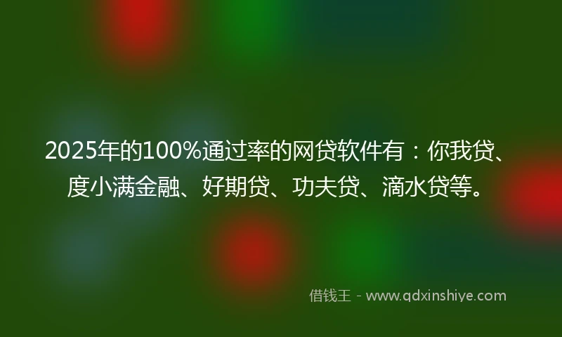 2025年的100%通过率的网贷软件有：你我贷、度小满金融、好期贷、功夫贷、滴水贷等。