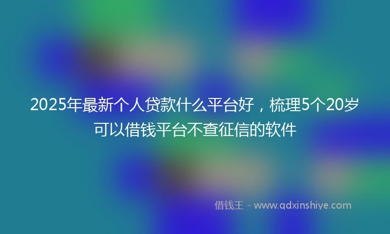 2025年最新个人贷款什么平台好，梳理5个20岁可以借钱平台不查征信的软件