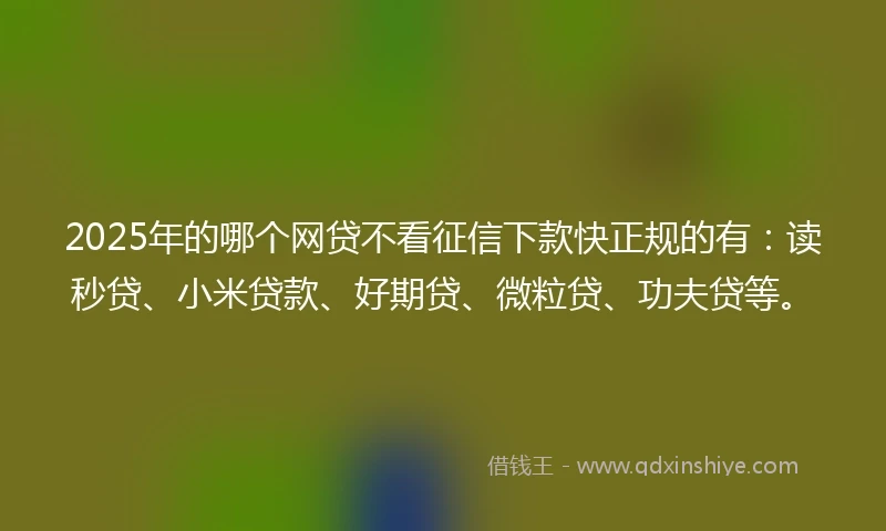 2025年的哪个网贷不看征信下款快正规的有：读秒贷、小米贷款、好期贷、微粒贷、功夫贷等。
