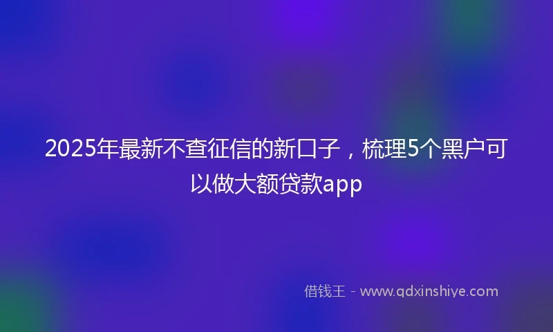 2025年最新不查征信的新口子，梳理5个黑户可以做大额贷款app