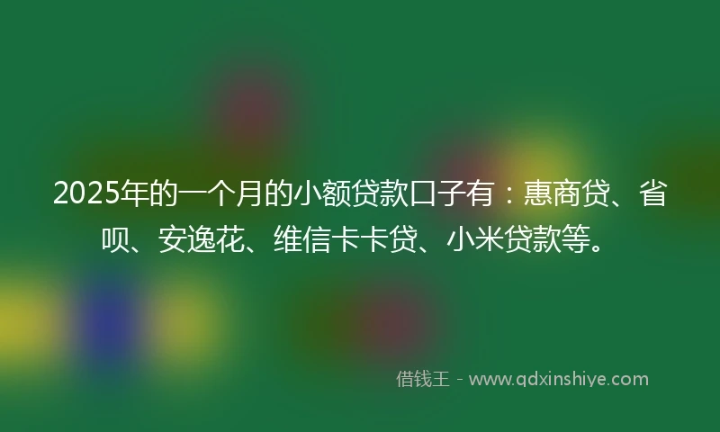 2025年的一个月的小额贷款口子有：惠商贷、省呗、安逸花、维信卡卡贷、小米贷款等。