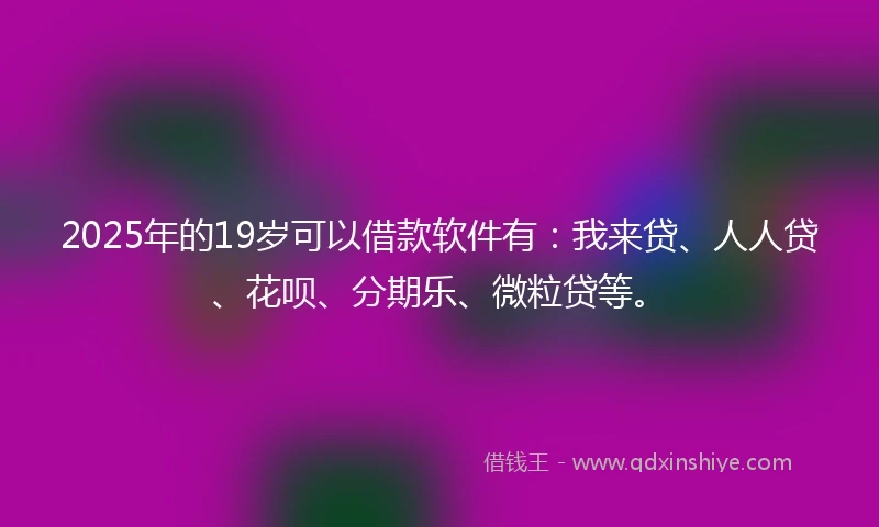 2025年的19岁可以借款软件有：我来贷、人人贷、花呗、分期乐、微粒贷等。