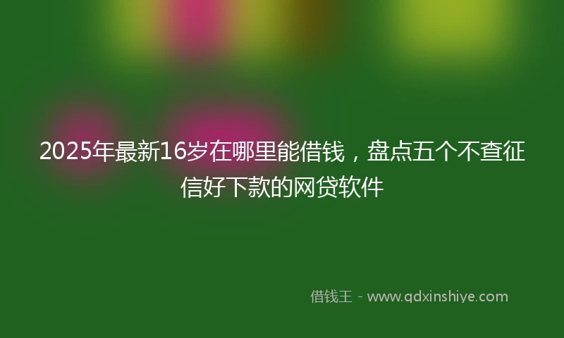 2025年最新16岁在哪里能借钱，盘点五个不查征信好下款的网贷软件