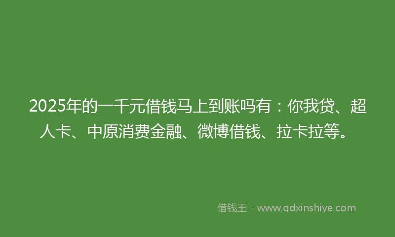 2025年的一千元借钱马上到账吗有：你我贷、超人卡、中原消费金融、微博借钱、拉卡拉等。