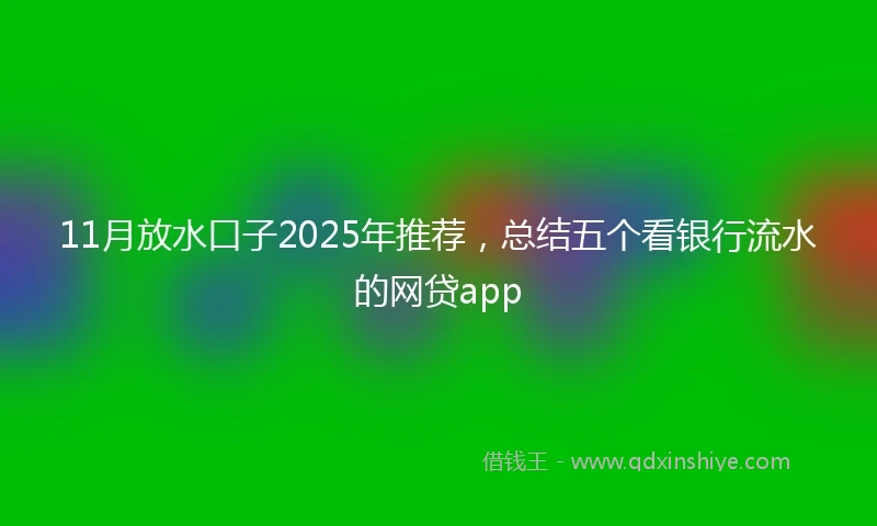 11月放水口子2025年推荐，总结五个看银行流水的网贷app