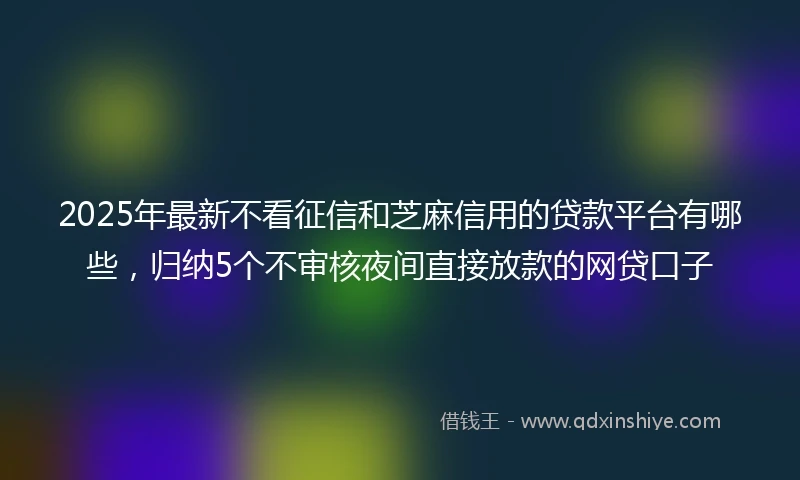 2025年最新不看征信和芝麻信用的贷款平台有哪些，归纳5个不审核夜间直接放款的网贷口子