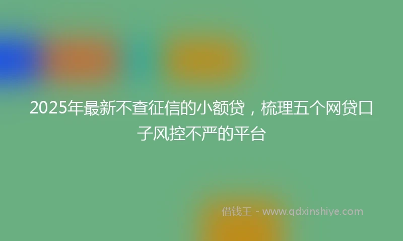 2025年最新不查征信的小额贷，梳理五个网贷口子风控不严的平台