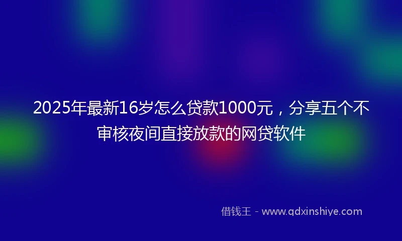 2025年最新16岁怎么贷款1000元，分享五个不审核夜间直接放款的网贷软件