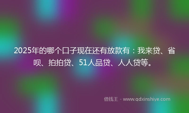 2025年的哪个口子现在还有放款有：我来贷、省呗、拍拍贷、51人品贷、人人贷等。