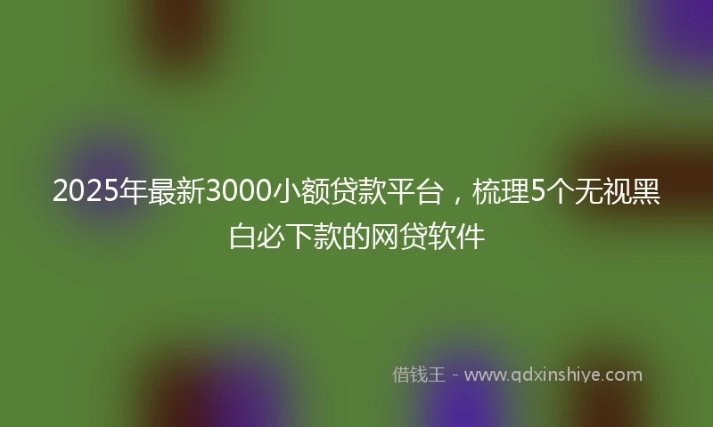 2025年最新3000小额贷款平台，梳理5个无视黑白必下款的网贷软件