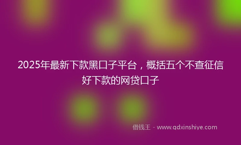 2025年最新下款黑口子平台，概括五个不查征信好下款的网贷口子