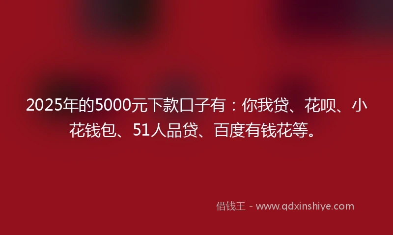 2025年的5000元下款口子有：你我贷、花呗、小花钱包、51人品贷、百度有钱花等。