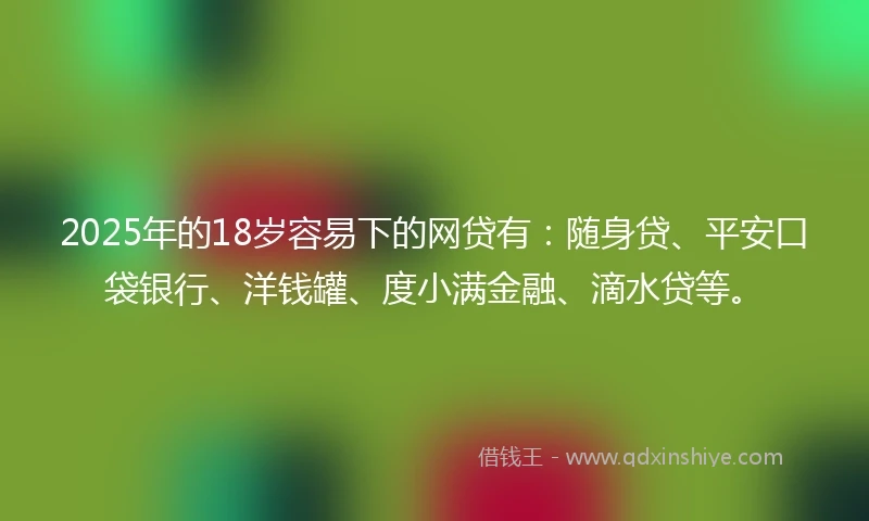 2025年的18岁容易下的网贷有：随身贷、平安口袋银行、洋钱罐、度小满金融、滴水贷等。