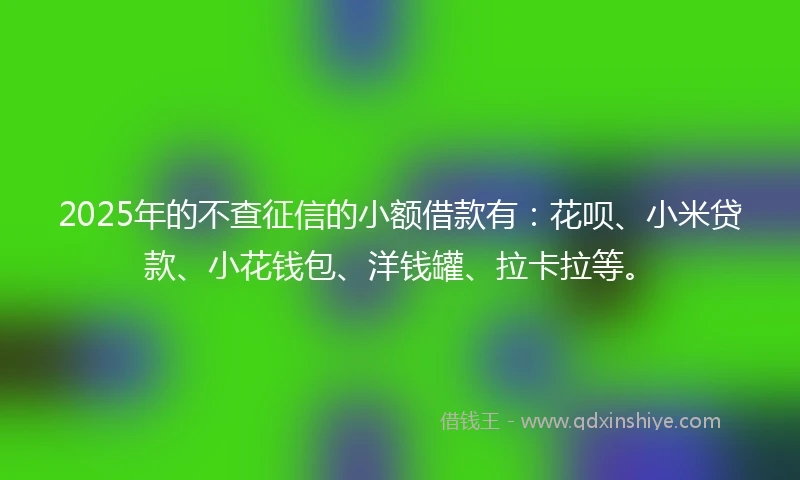 2025年的不查征信的小额借款有：花呗、小米贷款、小花钱包、洋钱罐、拉卡拉等。