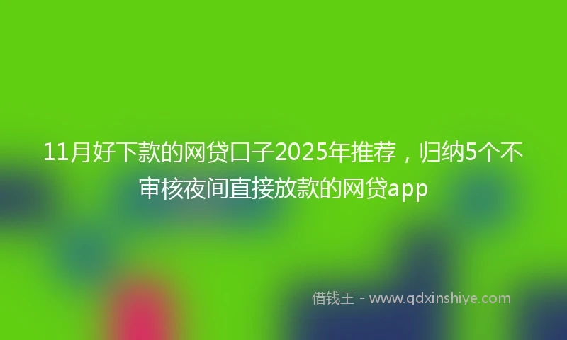 11月好下款的网贷口子2025年推荐，归纳5个不审核夜间直接放款的网贷app