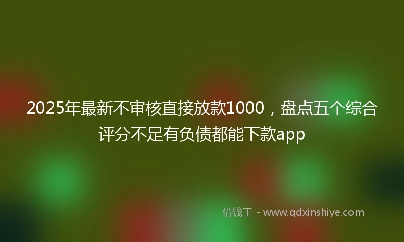 2025年最新不审核直接放款1000，盘点五个综合评分不足有负债都能下款app