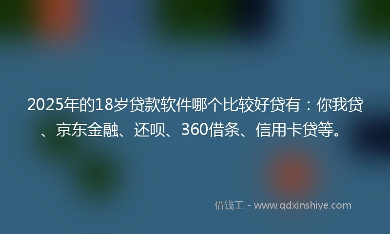 2025年的18岁贷款软件哪个比较好贷有：你我贷、京东金融、还呗、360借条、信用卡贷等。