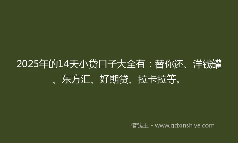 2025年的14天小贷口子大全有：替你还、洋钱罐、东方汇、好期贷、拉卡拉等。