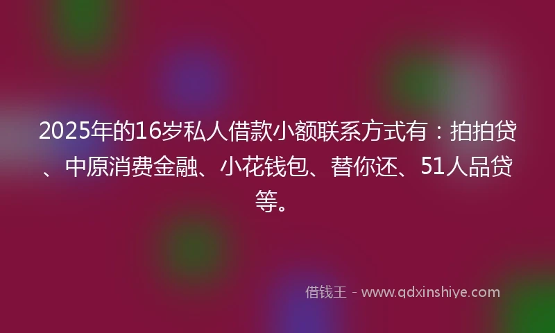 2025年的16岁私人借款小额联系方式有：拍拍贷、中原消费金融、小花钱包、替你还、51人品贷等。